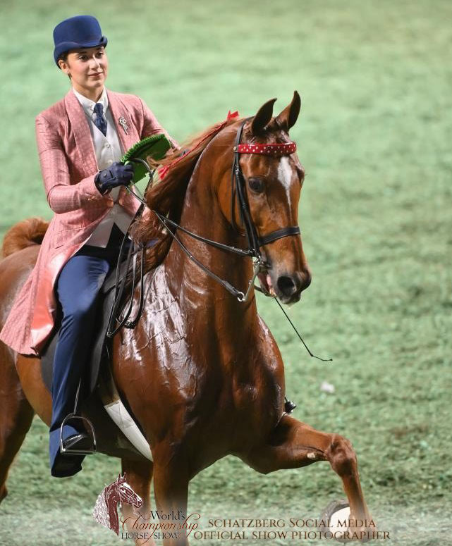 Horse and rider leaving the arena after showing at the WCHS