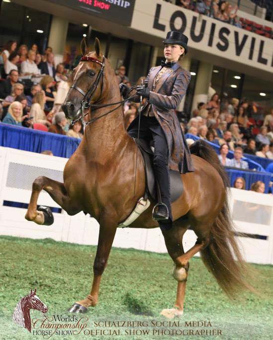 Horse and rider, showing in Louisville