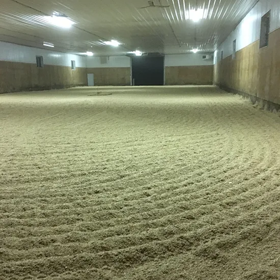 The indoor arena