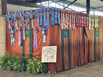 Ribbons highlighting an outstanding show