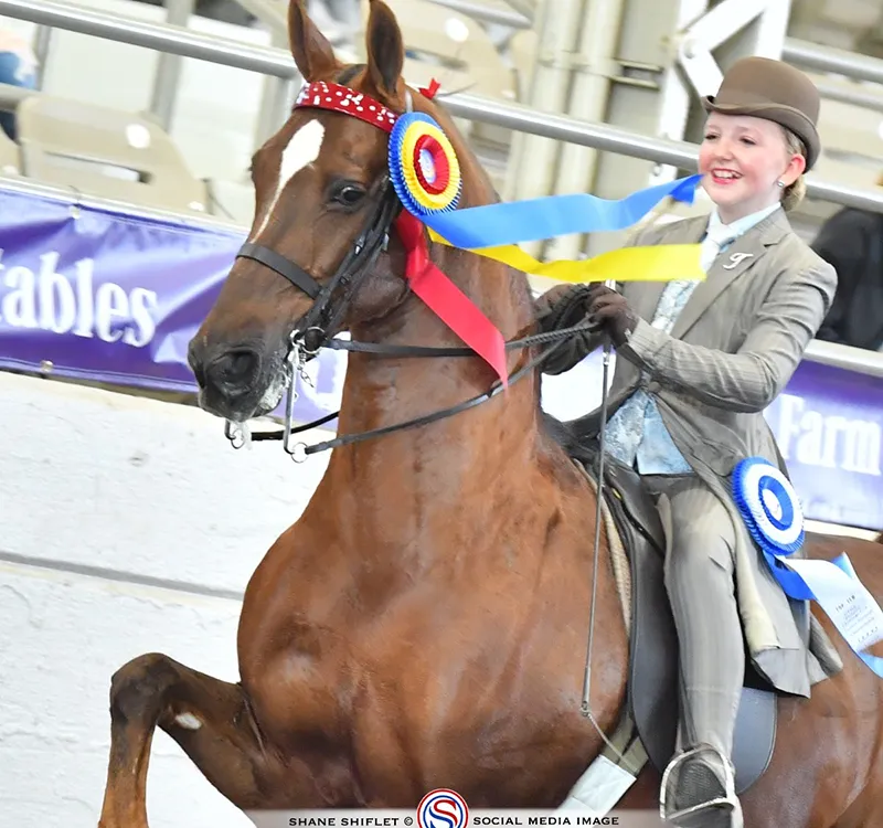 A girl and her horse after winning a class